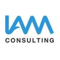 IAM Consulting